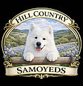 Hill Country Samoyeds