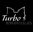 Turbo Border Collies