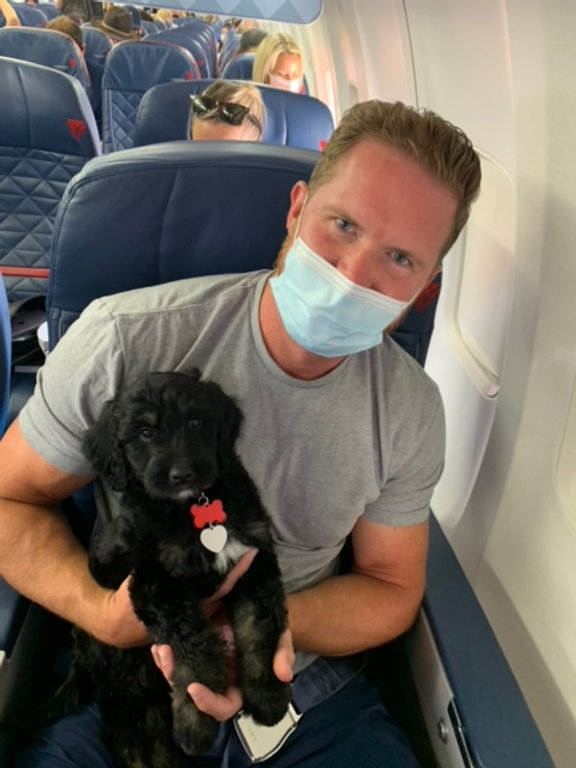 Delta Airlines Pet Policy 2023