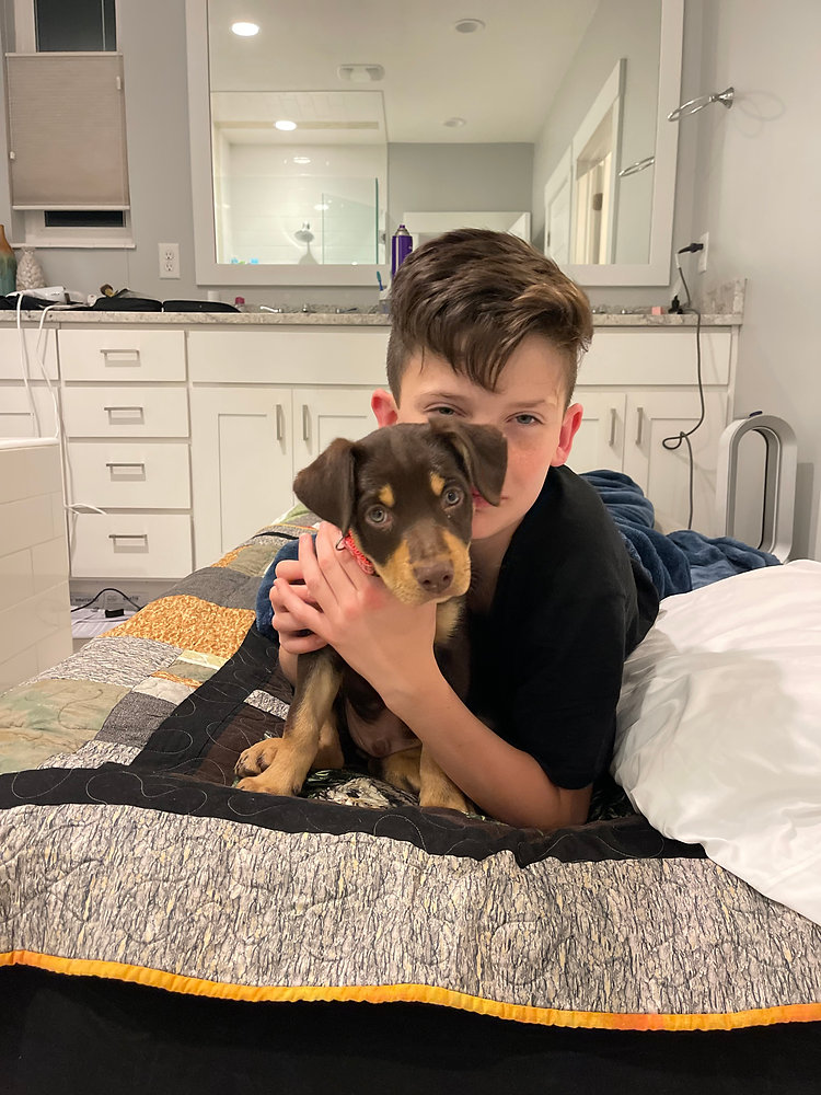 Here are a few things you can do to prepare for a new puppy: