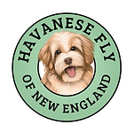 Havanese Fly of New England